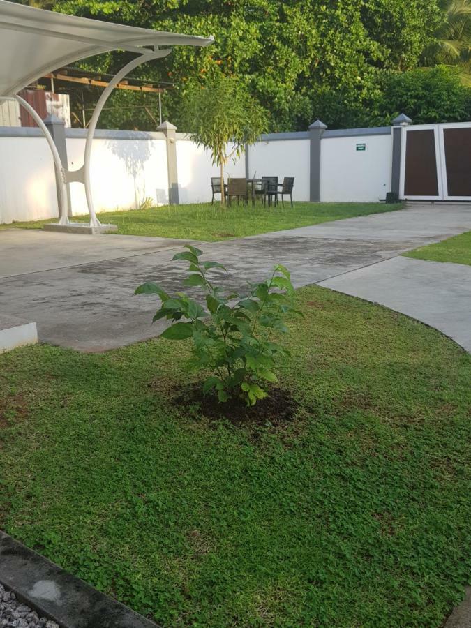 Maison Cattleya Selfcatering Apartment Anse Royale Exteriör bild